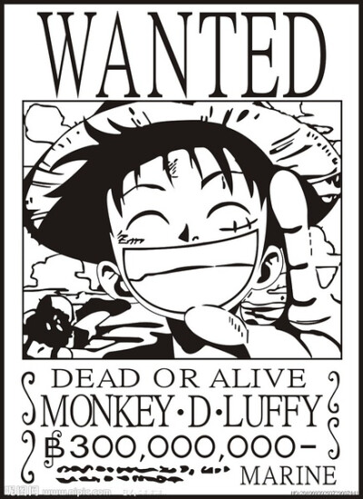 Luffy 路飞