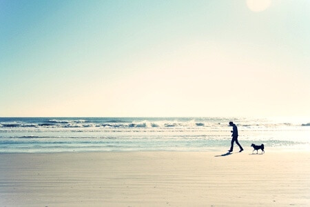 有的人把心都掏给你了，你却假装没看见， 因为你不喜欢。有的人把你的心都掏了，你还假装不疼，因为你爱 。