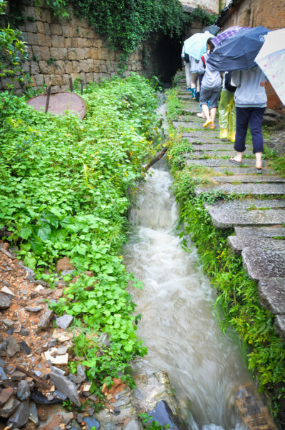 冒着雨一直向前