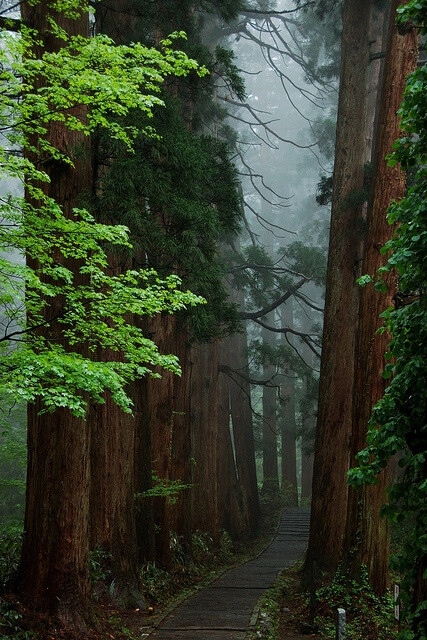 日本山形羽黑