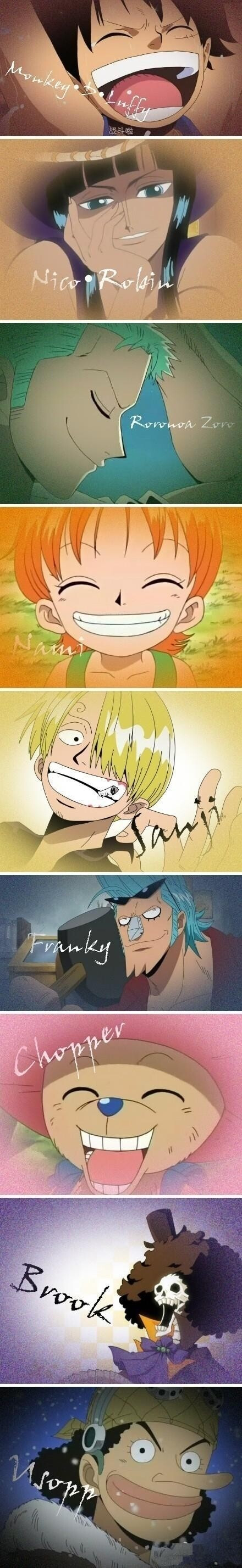 海贼王•Luffy Zoro Nami Usopp Sanji Chopper Robin Franky Brook