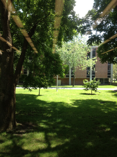 阳光喜好的午后，leddy library first floor common room〜