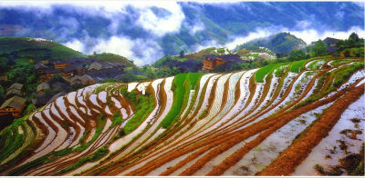 夏日记忆 满眼美景--桂林初夏 http://www.guilinly8.com