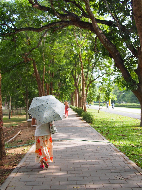 漫步清迈大学