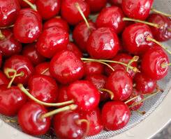 大爱 cherry