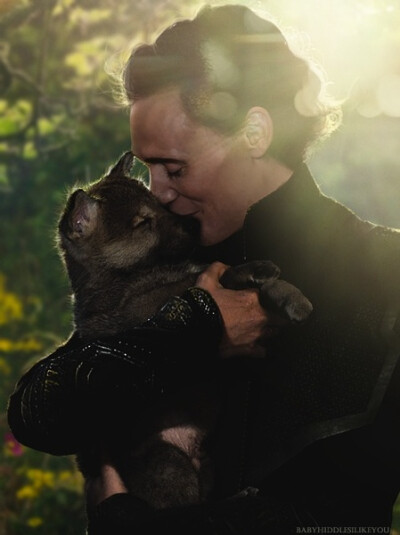 抖森（汤姆·希德勒斯顿 Tom Hiddleston）