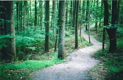 风景旧曾谙~用在这里不知道合适不