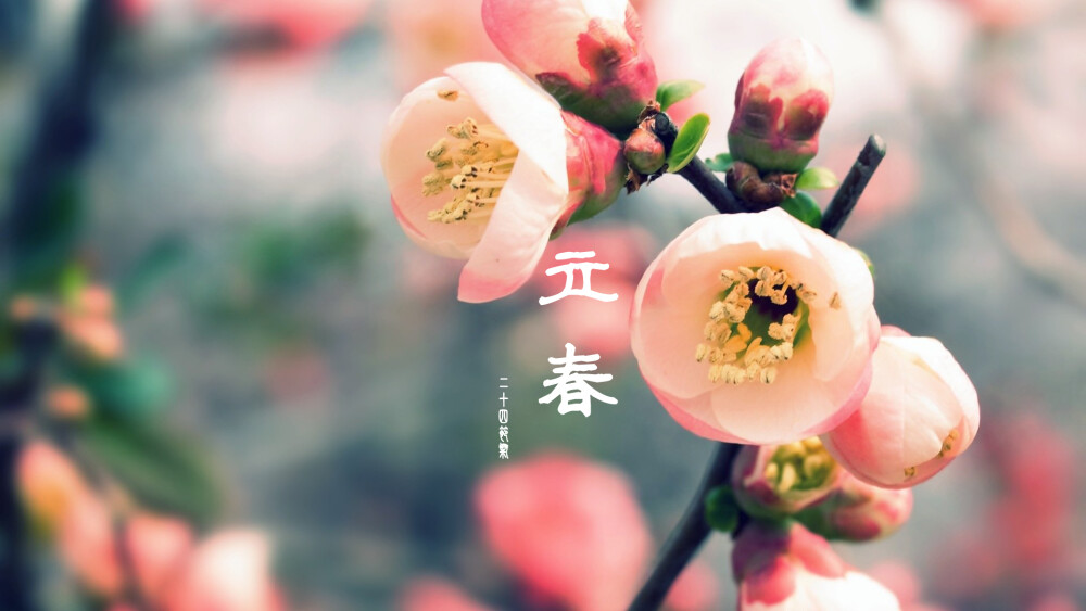 【风景如画】之二十四节气-立春（2-3~5）- 春季1。立春，源于农历，是二十四节气中的第一个节气，指太阳到达黄经315°时，为公历每年2月3至5日之间，表示着春天的开始。从这一天一直到立夏（每年5月5日或5月6日）这段期间，都被称为春天。 【节气歌】春雨惊春清谷天， 夏满芒夏暑相连。 秋处露秋寒霜降， 冬雪雪冬小大寒。 上半年是六廿一， 下半年是八廿三。 每月两节日期定， 最多只差一两天。（前4句，每句含6个节日，总共24个）曦