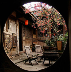 醉明月_新浪博客