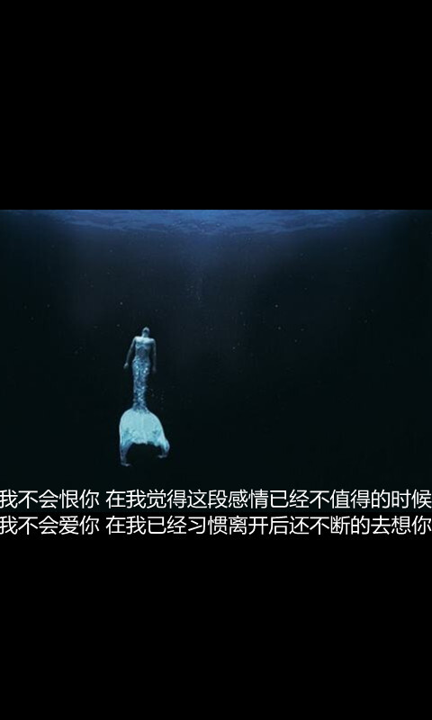 我不会恨你 在我觉得这段感情已经不值得的时候 我不会爱你 在我已经习惯离开后还不断的去想你