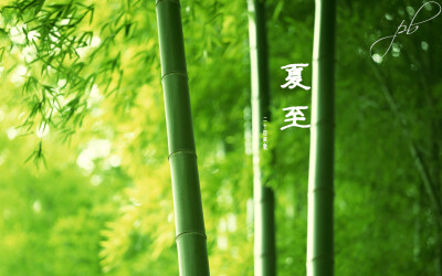  【风景如画】之二十四节气-夏至（6-21~22），夏至是二十四节气之一，在每年公历6月21日或22日。夏至这天，太阳直射地面的位置到达一年的最北端，几乎直射北回归线，此时，北半球的白昼达最长，且越往北越长。。【节…