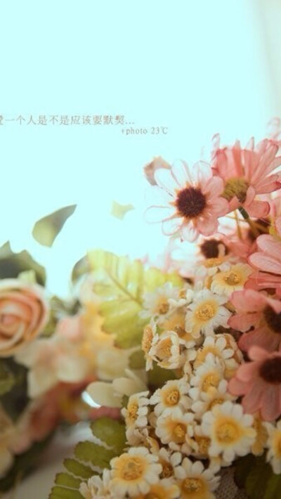 iPhone5壁纸，手机壁纸，背景。愤怒de小他的她、✿ฺ✿ฺ✿ฺ✿ฺ✿ฺ(◡‿◡ฺ*)