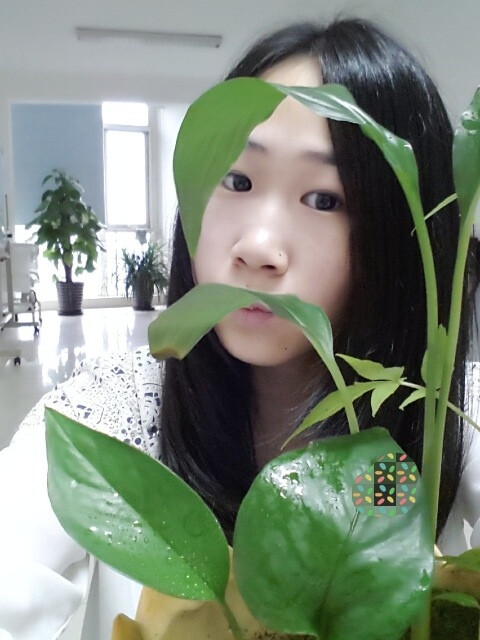 My flower