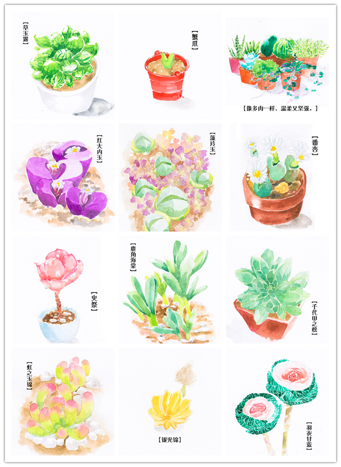 日历http://item.taobao.com/item.htm?id=26212608698