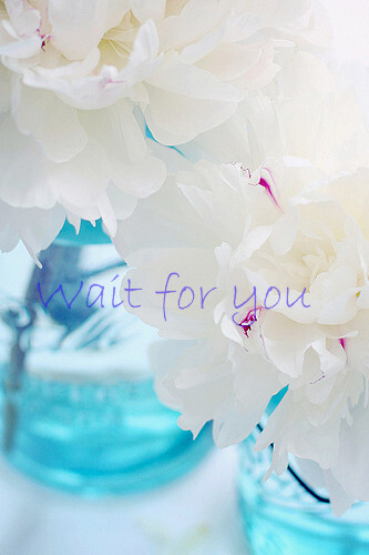 白花，矫情，wait for you。