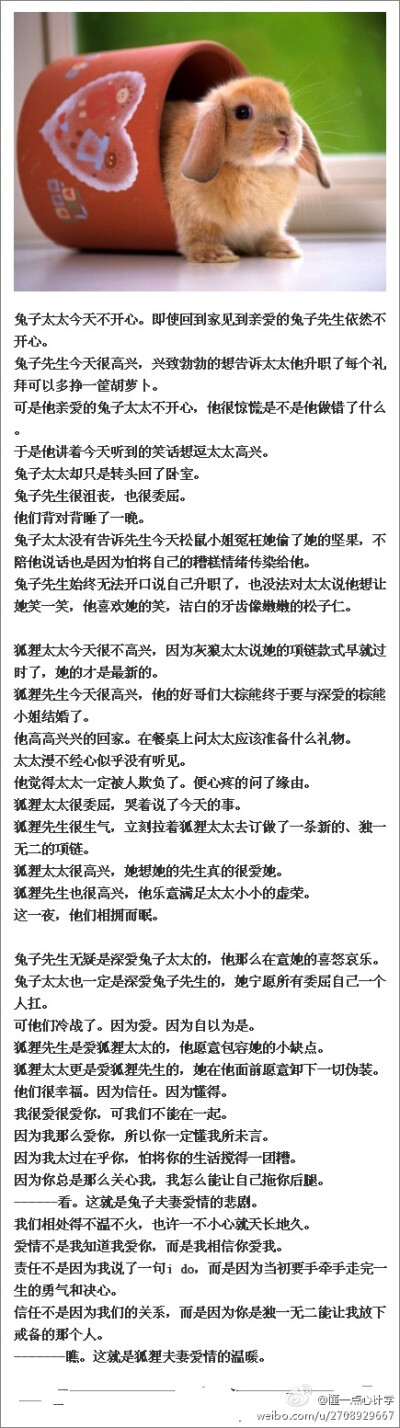 【情感故事】兔子兔子你爱他么？恩，我爱他。狐狸狐狸你爱他么？恩，我想我懂他。