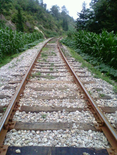 家乡的火车轨道，停留多年，只是偶尔有运煤的火车经过。看一看，风景不错噢。