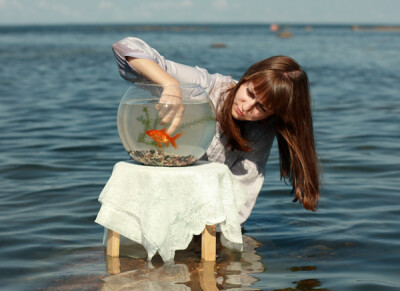 迷人的小小金鱼~~~