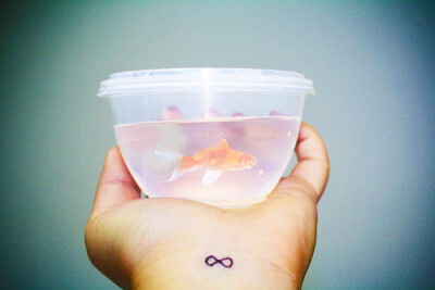 迷人的小小金鱼~~~