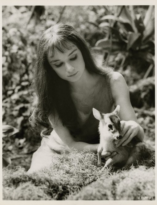 时而高贵典雅时而清纯美好