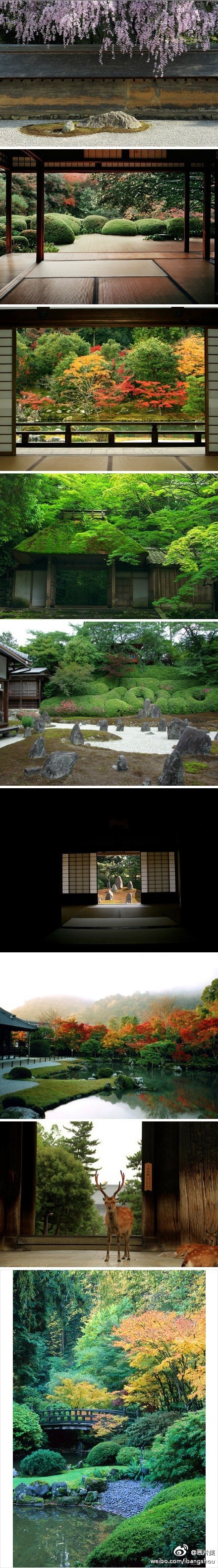 日本庭園，极富禅韵