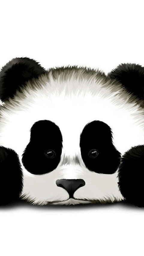 Hello Panda