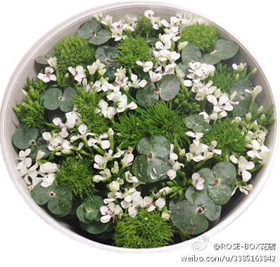 #JoyFlower花店·为爱种植一片森林#一位女孩为老公生日订花，一直以来都是你在赚钱养家，感谢你为我们的小家庭的付出，为爱种植一片森林送给一直努力付出的这位先生！