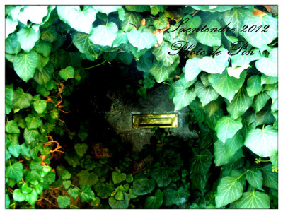 匈牙利山丹丹:) 邮箱