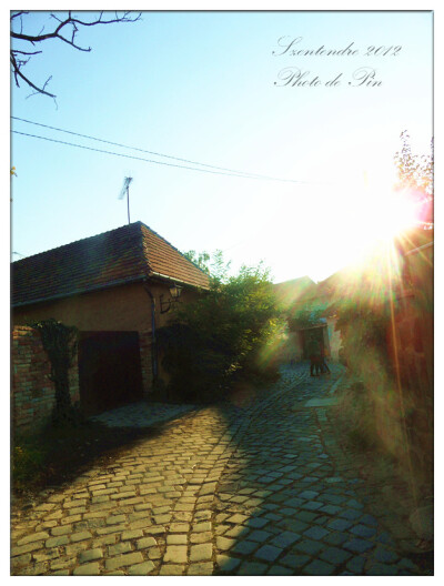 匈牙利山丹丹:)