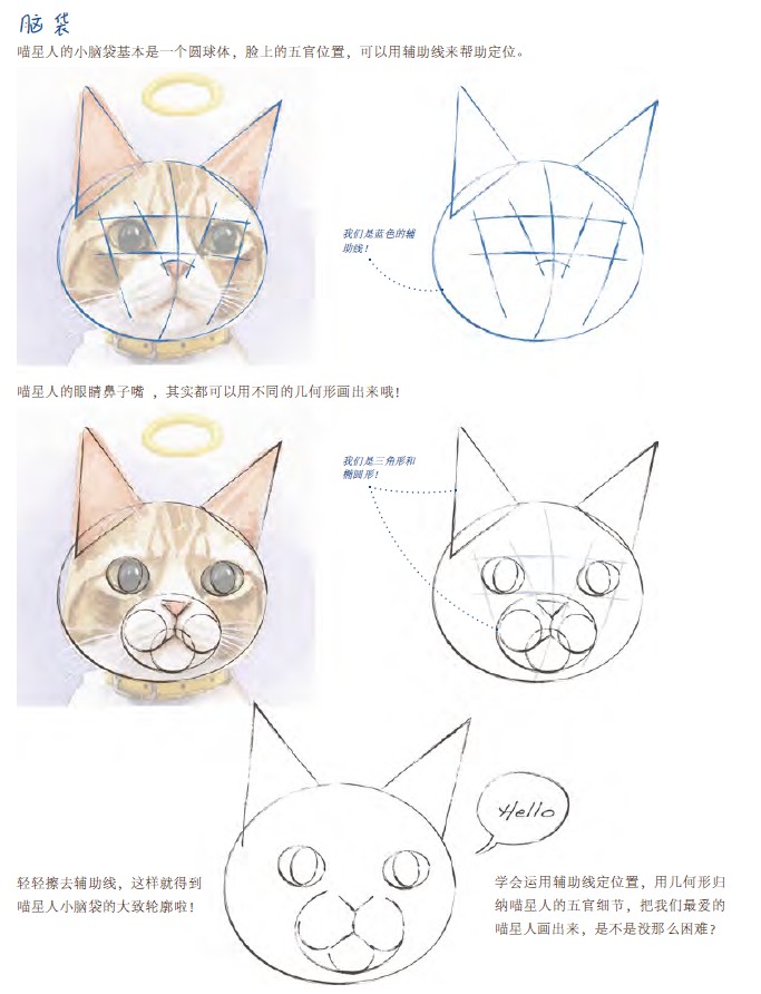 《画给喵星人的小情书》——脑袋