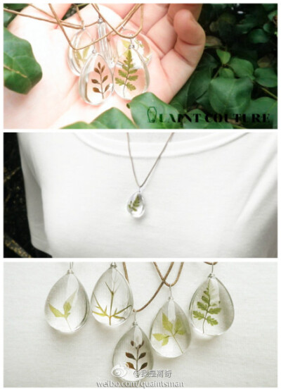  真实植物 草本档案系列 项链http://item.taobao.com/item.htm?spm=0.0.0.0.oLzlb5&amp;id=26480572777