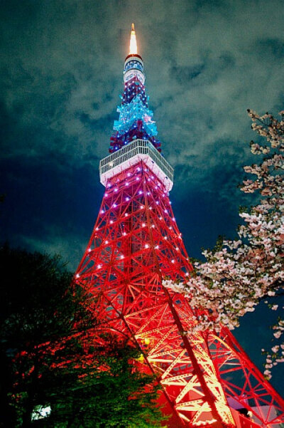 【蔓纪】铁塔樱花夜景