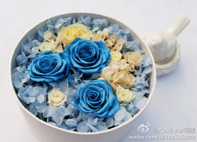 #JoyFlower·Blue#新的一周，ROSE-BOX推出了天蓝色花盒，为本周增加一丝清新，自由的感觉，抱着它就让人的心情感到放松，自由自在。