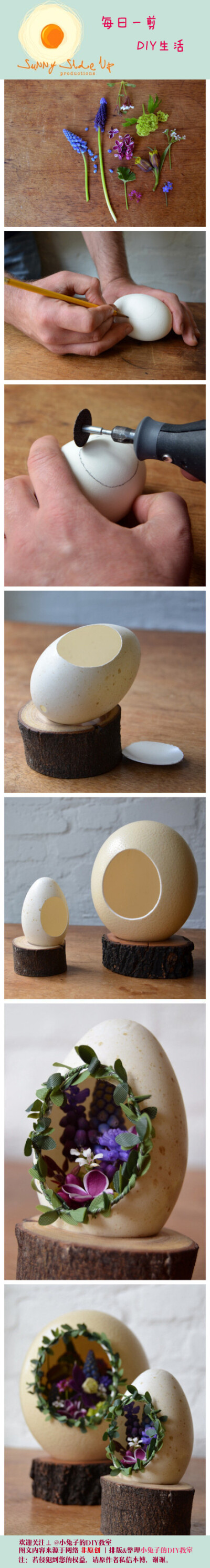 【蛋壳的艺术】挖鸡蛋着实有点难办。。。啧啧