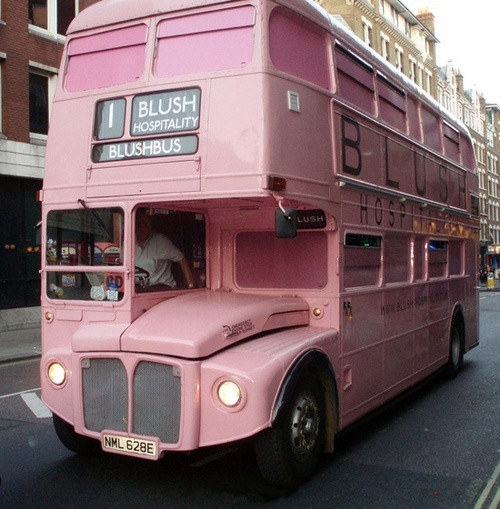 樱花双层bus