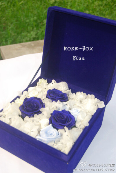 #JoyFlower·聚美汇# 这是ROES-BOX·永生系列之宝蓝款花盒,宝蓝色和白色搭配起来很显高贵气质,十分纯净的颜色中 带有珠光光泽,(I want to hold you)我想抱着你。