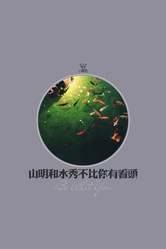 文字 iPhone壁纸 小青菀