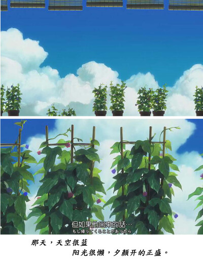 夏日大作战