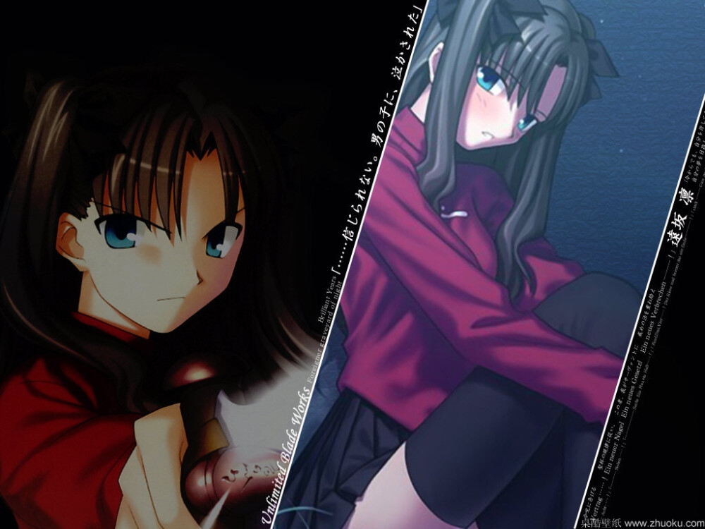 Fate stay night