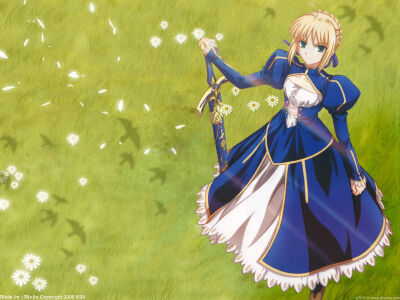 Fate stay night