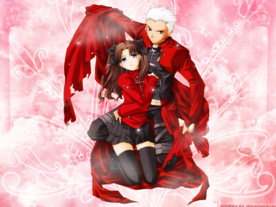 Fate stay night