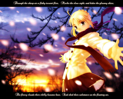 Fate stay night