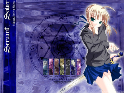 Fate stay night