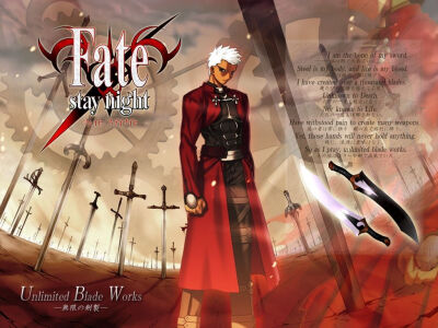 Fate stay night