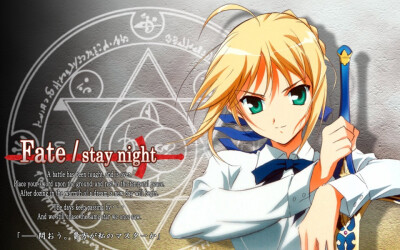 Fate stay night