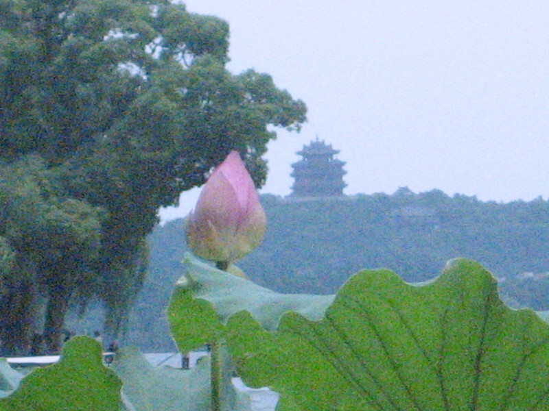 盛夏的杭州