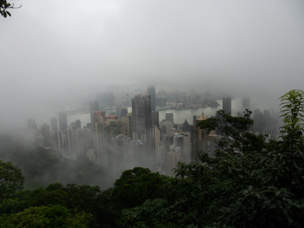 从山顶电车的车窗看到的科幻的港岛