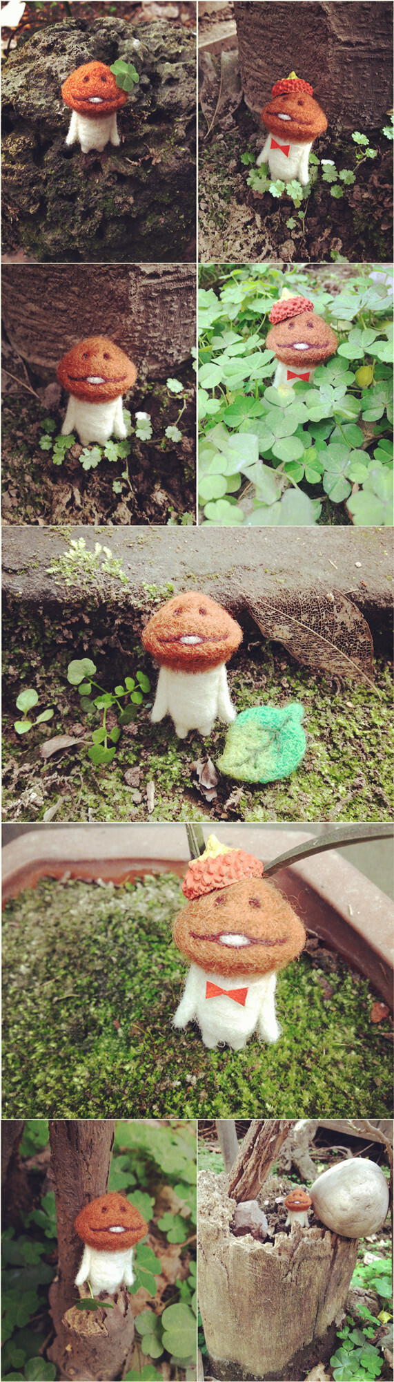 MUSHROOM GARDEN 滑子菇方吉