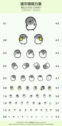 视力表（彼尔得是个鸟姑娘）