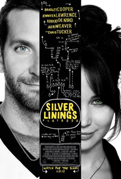 乌云背后的幸福线 Silver Linings 奥斯卡最佳女演员 我喜欢的两个演员在其中是主演